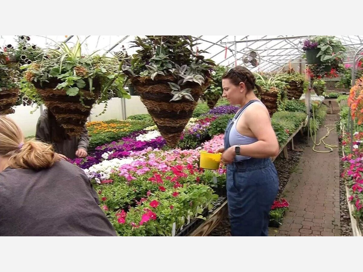 Hennepin Tech Plant Sale Runs May 11 13 2023 MinneapoliMedia