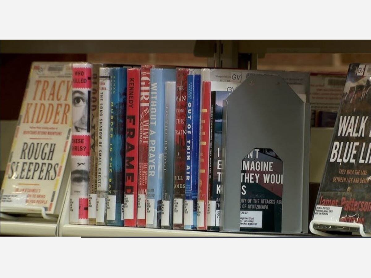 Friends Of The Library Sales Offer Cheap Books, Community Connection