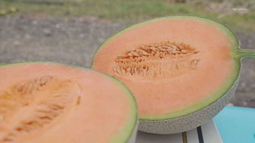 Salmonella In Cantaloupes Sickens Dozens In 15 States, U.S. Health ...