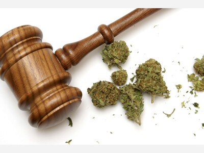 Minnesota Conducts First License Lotteries For Cannabis Businesses, Eyes Growth and Social Equity