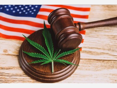 Regulatory Shakeup Rocks Minnesota’s Hemp‑THC Market