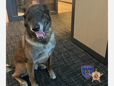 Retired K-9 Diesel Makes Heartwarming Return Visit to Anoka County Sheriff’s Office
