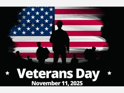 MINNEAPOLIMEDIA EDITORIAL | Veterans Day: Lessons in Service, Unity, and Resilience for a Nation at a Crossroads