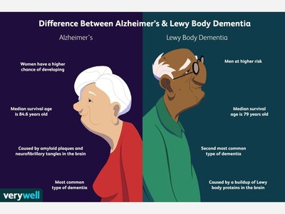 MINNEAPOLIMEDIA EDITORIAL | When the Brain’s Gatekeeper Fails: Nanoparticles, Alzheimer’s Disease, and the Fragile Architecture of Memory