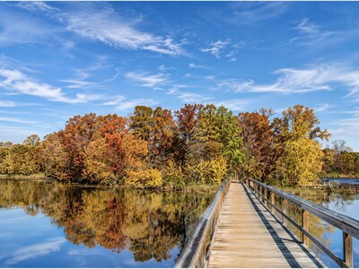 MINNEAPOLIMEDIA NEWS | Free Tree Giveaway Programs Expand Across the Twin Cities as Cities, Nonprofits Push Urban Canopy Restoration and Environmental Equity