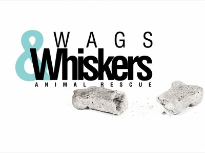 MINNEAPOLIMEDIA NEWS | After 17 Years and More Than 12,000 Rescues, Wags & Whiskers Animal Rescue of Minnesota Announces Permanent Closure