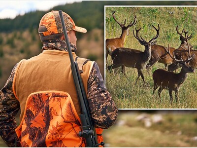 MINNEAPOLIMEDIA NEWS | Minnesota DNR Releases 2026 Hunting Regulations With Major Changes for Deer Hunters