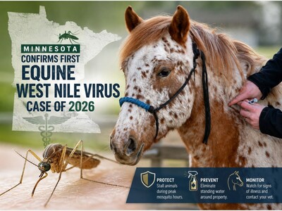 MINNEAPOLIMEDIA NEWS | Minnesota Confirms First Equine West Nile Virus Case of 2026