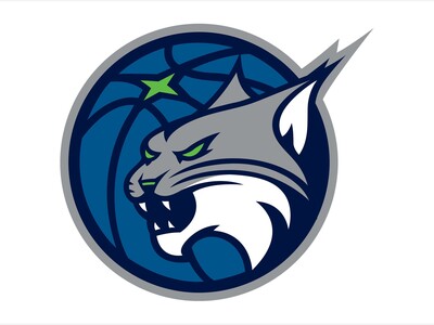 LYNX FACE ELIMINATION AFTER 91-75 PLAYOFF LOSS TO NEW YORK LIBERTY