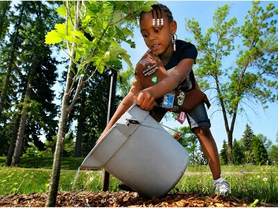 MINNEAPOLIMEDIA NEWS | Minnesota DNR Urges Residents to Water Trees as Drought and Summer Heat Increase Stress