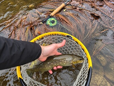MINNEAPOLIMEDIA NEWS | Minnesota Asks Anglers Whether Winter Trout Seasons Should Keep Separate Opening Dates