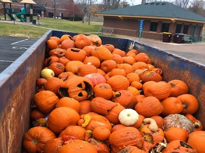 MINNEAPOLIMEDIA NEWS | Coon Rapids Opens Pumpkin Recycling Drop-Offs as Halloween Weekend Begins