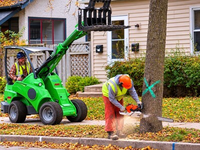 MINNEAPOLIMEDIA NEWS | North Metro Communities Receive More Than $1.18 Million in ReLeaf Awards as Minnesota Rebuilds Urban Tree Canopies